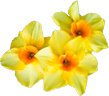 Miz_ALittleBitSpring_Element(74)