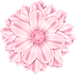 DSKflower2