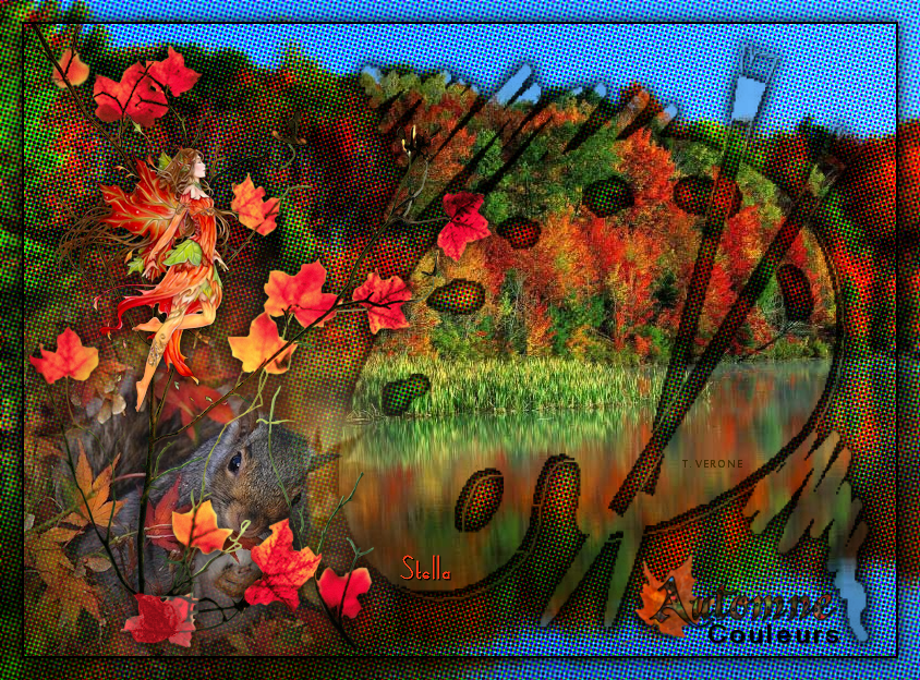 coleurs_automne