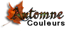 titulo