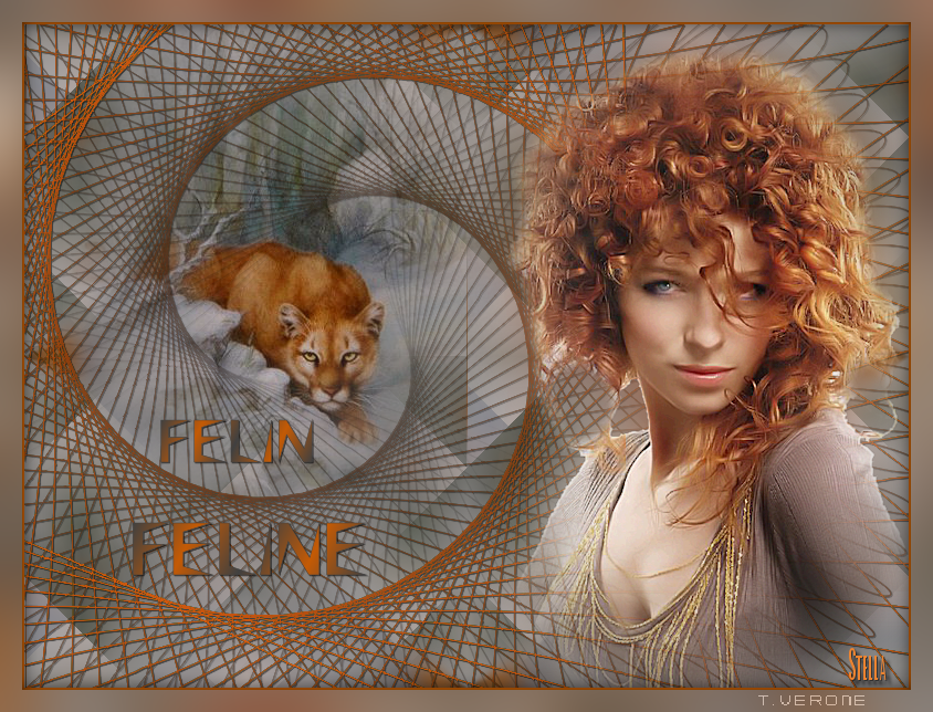 feline