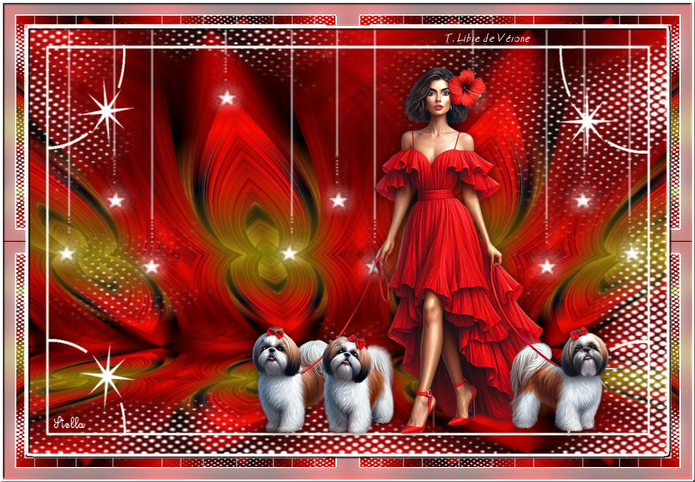 mystere_decembre_2024_stardesignpsp