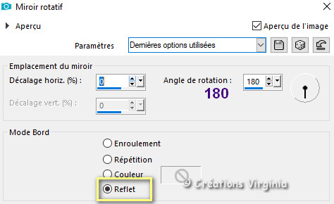 delia_miroir_rotatif_180