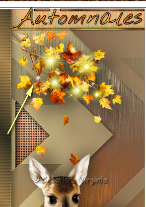 aut_etoiles_feuilles