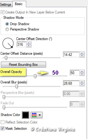 Chantepr_perspectiveshadow