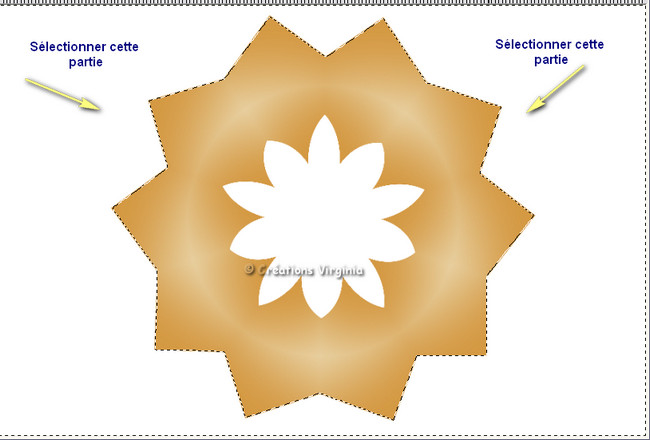 etoile_sel_externe_partie_blanche