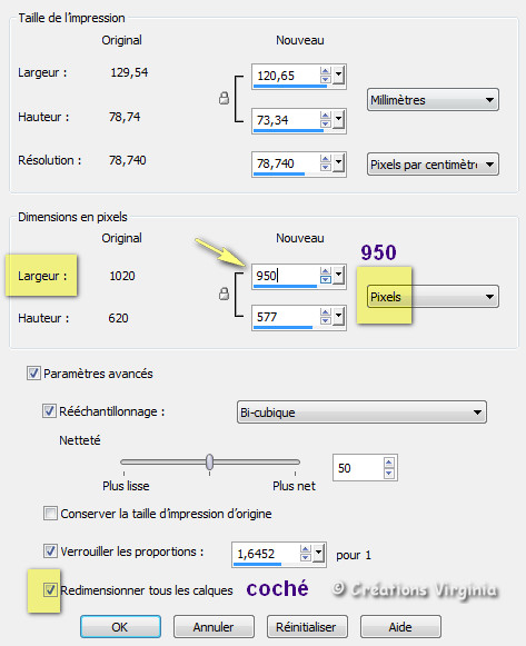 HBL_redimensionner_950