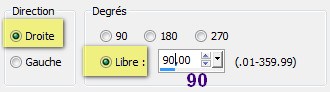Lila_rotation_libre