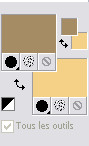 pviolon_palette