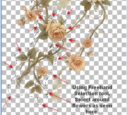 SelectedFlowers
