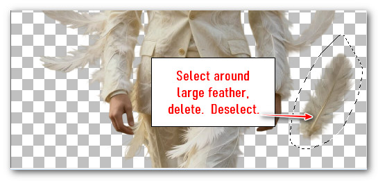 SelectLargeFeatherDelete