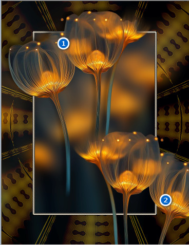 FlowersPlacement