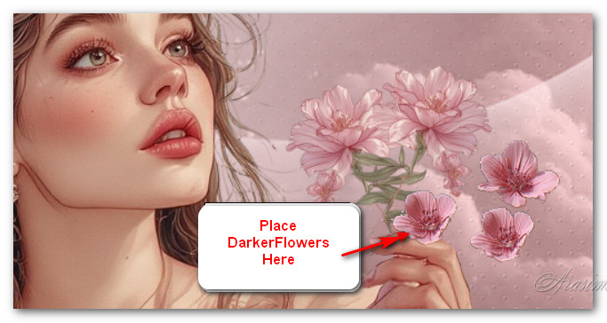 DarkerFlowersHere