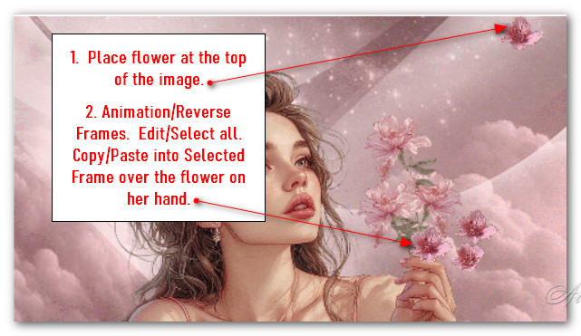 PlacementOfDarkAnimatedFlowers