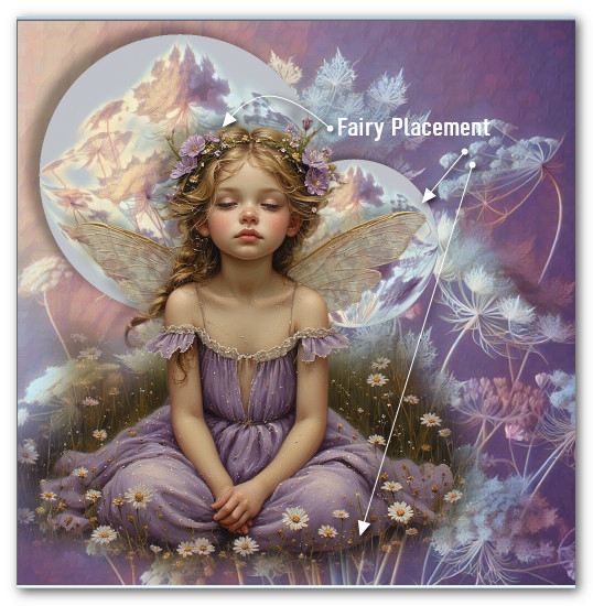 FairyPlacement