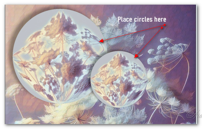 PlaceCirclesHere