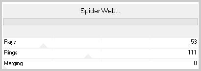 spider-web