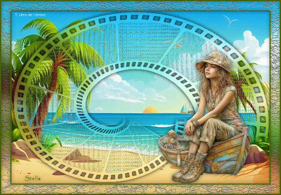 pellicule_coquillage_stardesignpsp