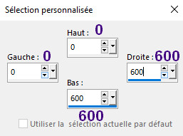 paillettes_sel_perso01