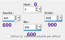 paillettes_sel_perso02